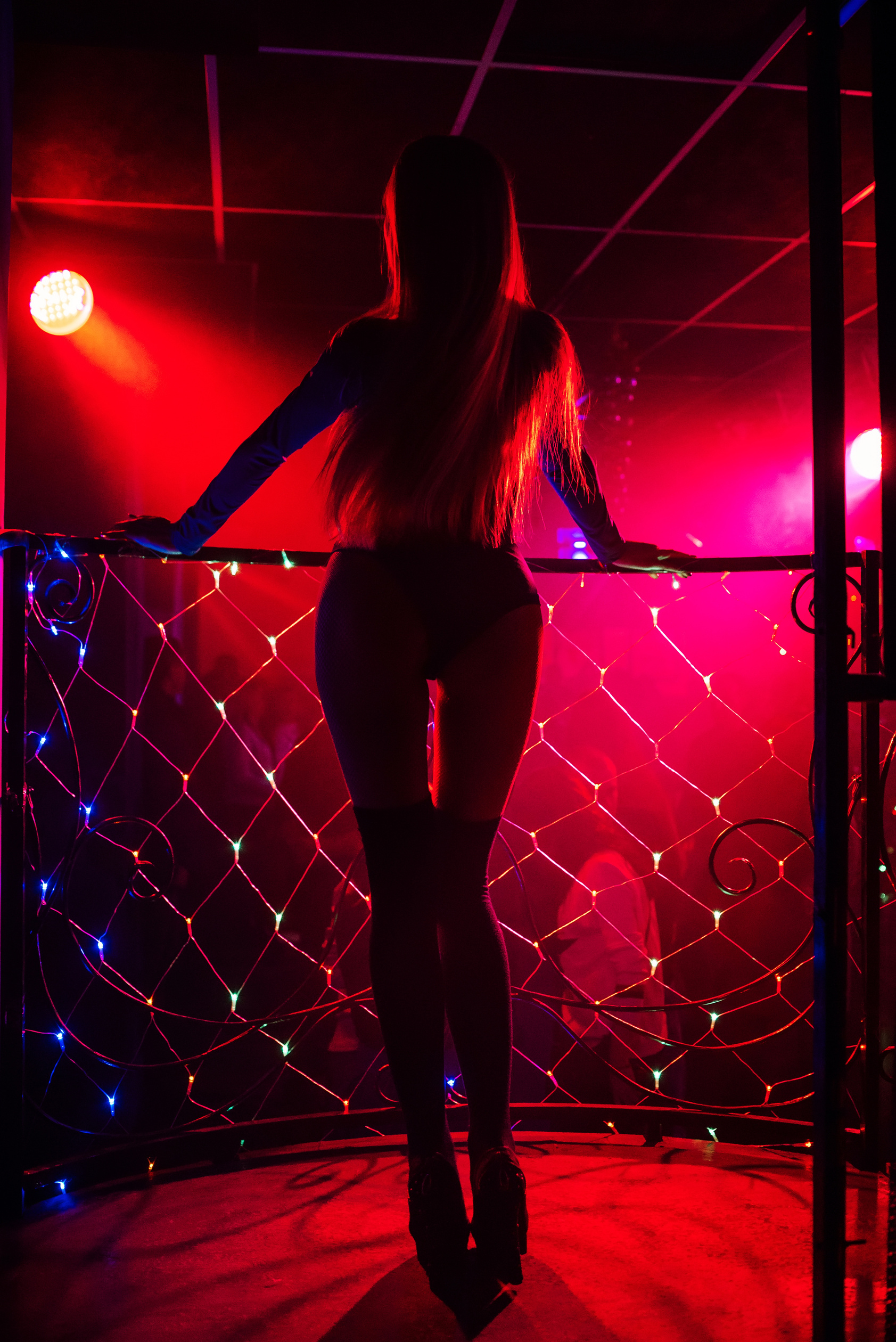 Silhouette of a Girl Dancer Go-Go Dancing Posing in a Nightclub